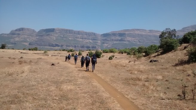 IMG_20160129_112235965