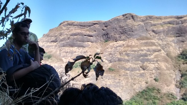 IMG_20160129_153213269_HDR